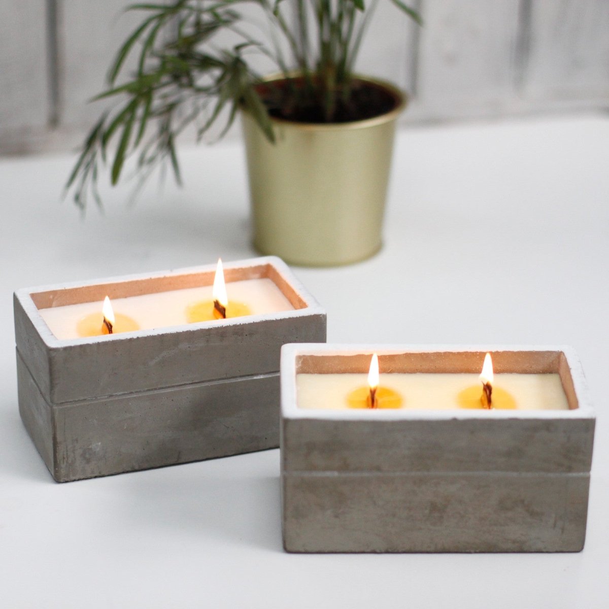 Concrete Soy Candle Large - Spiced South Sea Lime - tebaspa