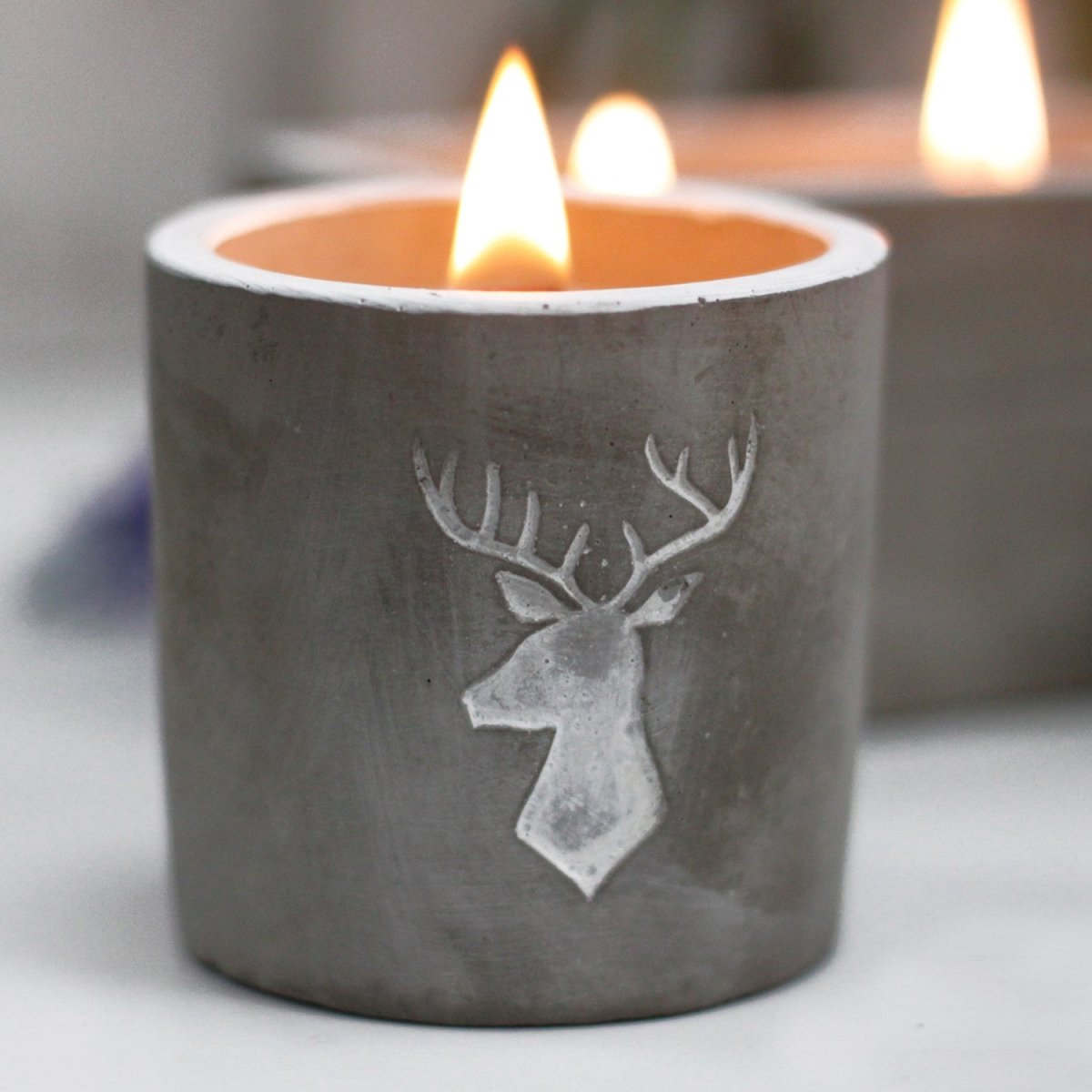Concrete Soy Candle Stag Head - Whiskey & Woodsmoke - tebaspa