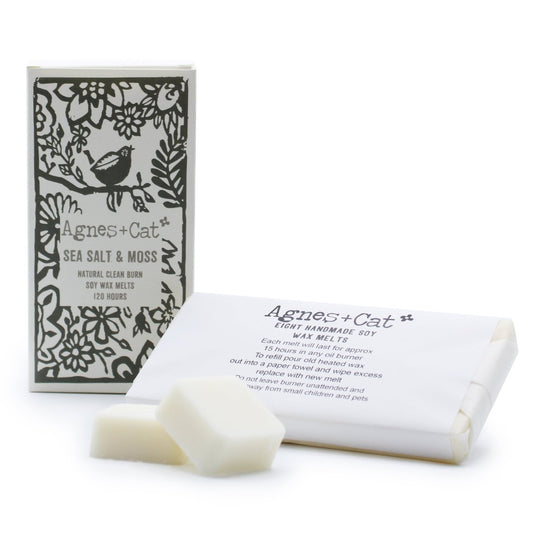 Natural Soy Wax Melts - Seasalt + Moss - tebaspa