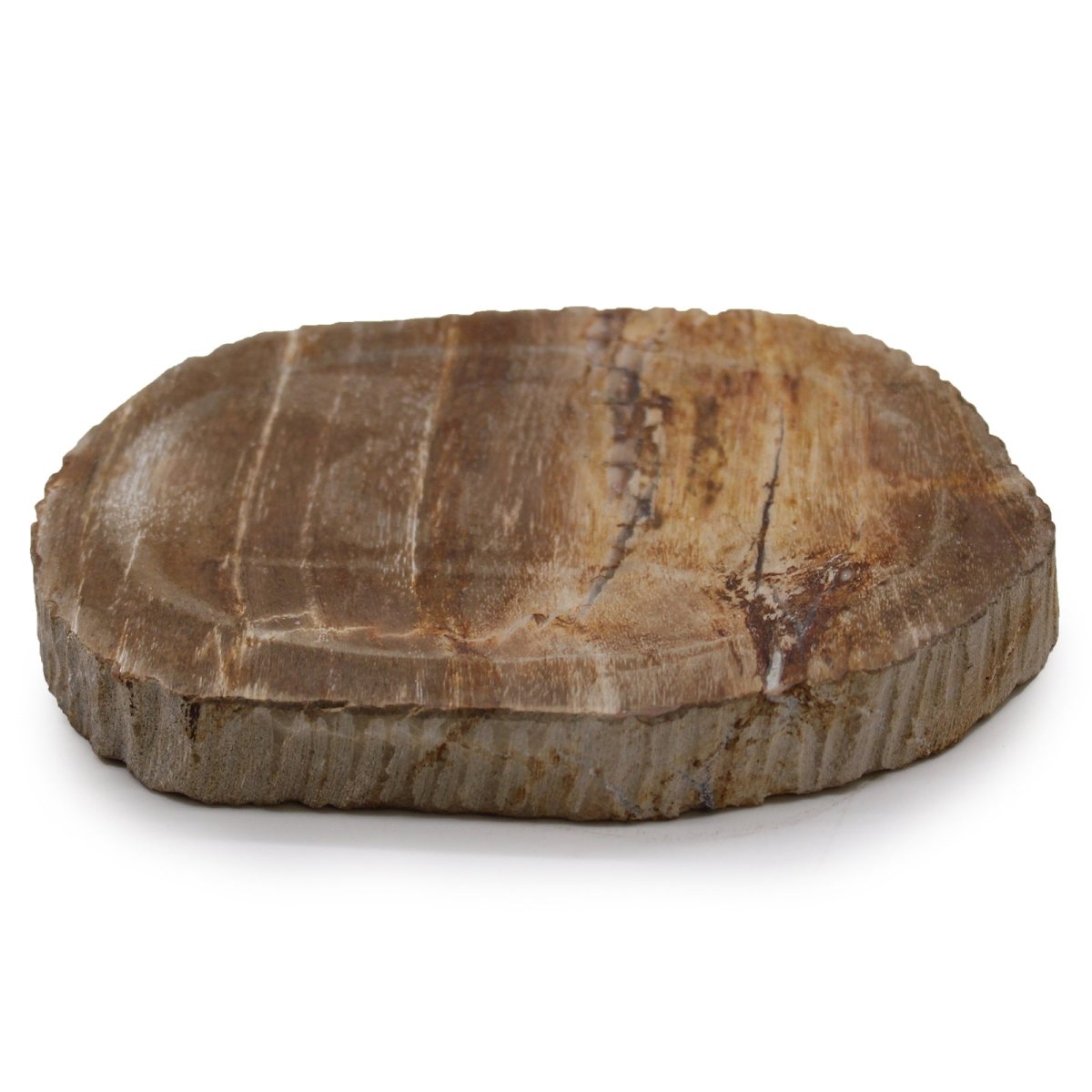 Petrified Wood Brown Soap Dish - tebaspa