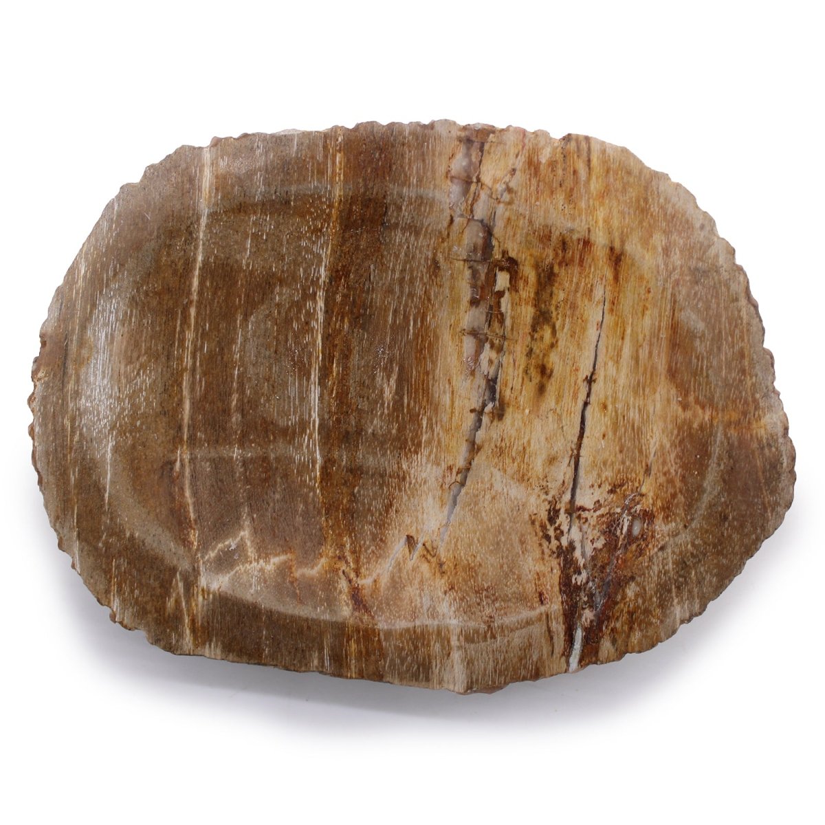 Petrified Wood Brown Soap Dish - tebaspa